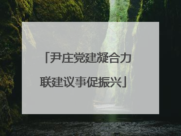 尹庄党建凝合力 联建议事促振兴