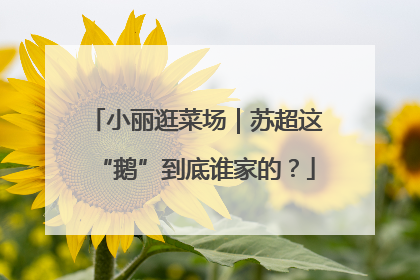 小丽逛菜场｜苏超这“鹅”到底谁家的？