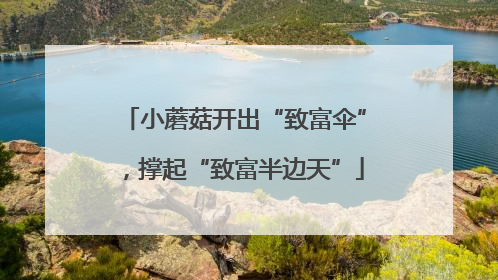 小蘑菇开出“致富伞”，撑起“致富半边天”