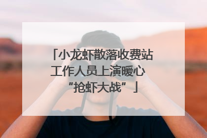 小龙虾散落收费站 工作人员上演暖心“抢虾大战”