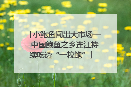 小鲍鱼闯出大市场——中国鲍鱼之乡连江持续吃透“一粒鲍”