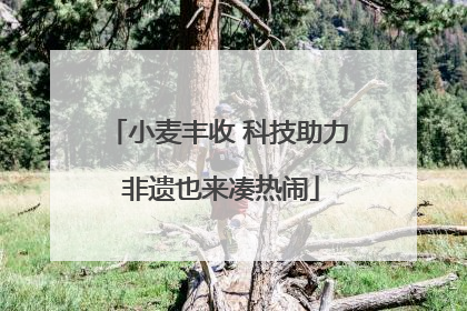 小麦丰收 科技助力 非遗也来凑热闹