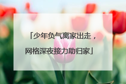少年负气离家出走，网格深夜接力助归家