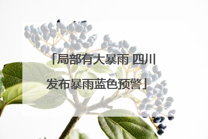 局部有大暴雨 四川发布暴雨蓝色预警
