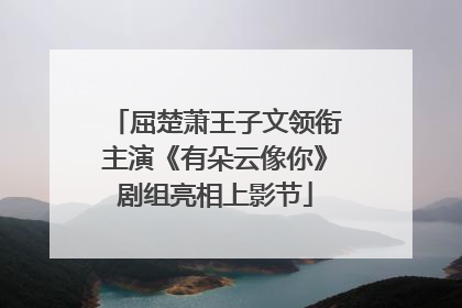 屈楚萧王子文领衔主演《有朵云像你》剧组亮相上影节
