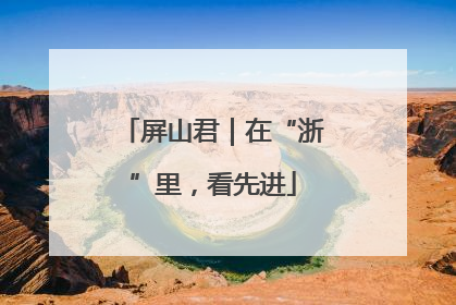 屏山君｜在“浙”里，看先进