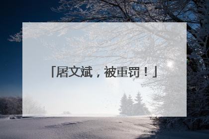 屠文斌，被重罚！