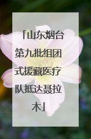 山东烟台第九批组团式援藏医疗队抵达聂拉木