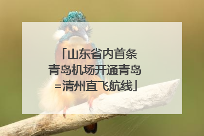 山东省内首条 青岛机场开通青岛=清州直飞航线