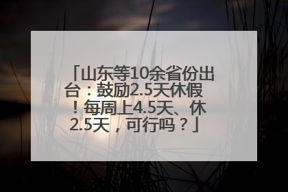 山东等10余省份出台：鼓励2.5天休假！每周上4.5天、休2.5天，可行吗？