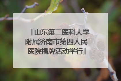 山东第二医科大学附属济南市第四人民医院揭牌活动举行