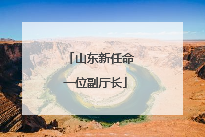 山东新任命一位副厅长