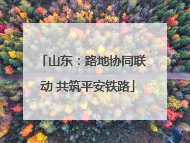 山东：路地协同联动 共筑平安铁路