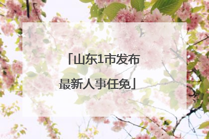 山东1市发布最新人事任免