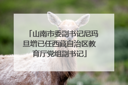 山南市委副书记尼玛旦增已任西藏自治区教育厅党组副书记