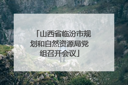 山西省临汾市规划和自然资源局党组召开会议