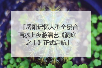岳阳记忆大型全景音画水上夜游演艺《洞庭之上》正式启航
