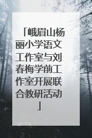 峨眉山杨丽小学语文工作室与刘春梅学前工作室开展联合教研活动