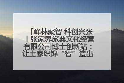 峰林聚智 科创兴张丨张家界旅典文化经营有限公司博士创新站：让土家织锦“智”造出非遗新传奇