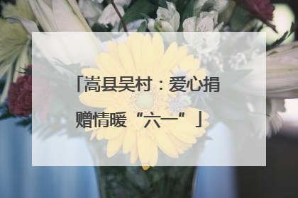 嵩县吴村：爱心捐赠情暖“六一”