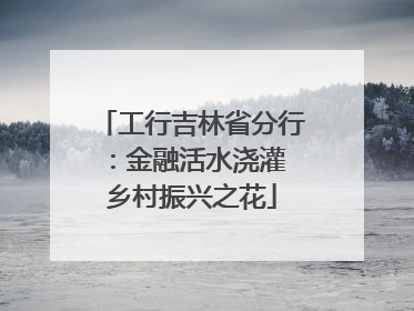 工行吉林省分行：金融活水浇灌 乡村振兴之花