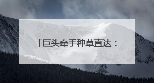 巨头牵手种草直达：“红京计划”亮相