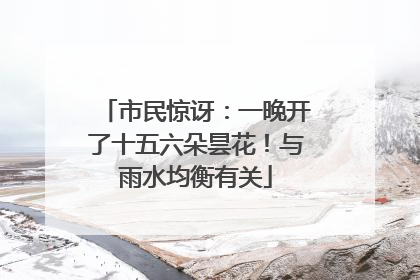 市民惊讶：一晚开了十五六朵昙花！与雨水均衡有关