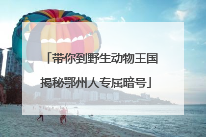 带你到野生动物王国揭秘鄂州人专属暗号