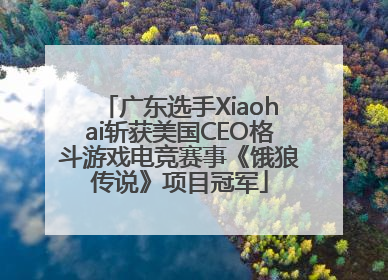 广东选手Xiaohai斩获美国CEO格斗游戏电竞赛事《饿狼传说》项目冠军