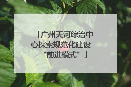 广州天河综治中心探索规范化建设“前进模式”
