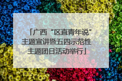 广西“区直青年说”主题宣讲暨五四示范性主题团日活动举行
