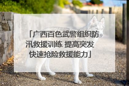 广西百色武警组织防汛救援训练 提高突发快速抢险救援能力