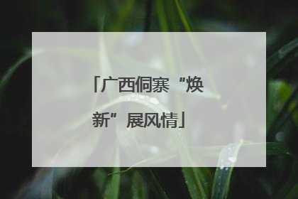 广西侗寨“焕新”展风情