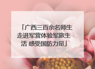 广西三百余名师生走进军营体验军旅生活 感受国防力量