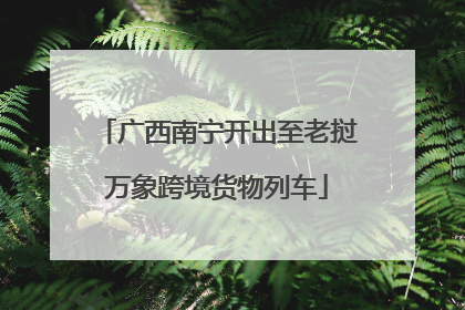 广西南宁开出至老挝万象跨境货物列车