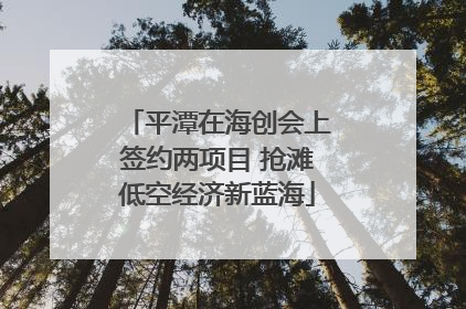 平潭在海创会上签约两项目 抢滩低空经济新蓝海
