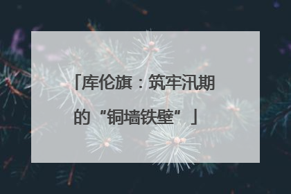 库伦旗：筑牢汛期的“铜墙铁壁”