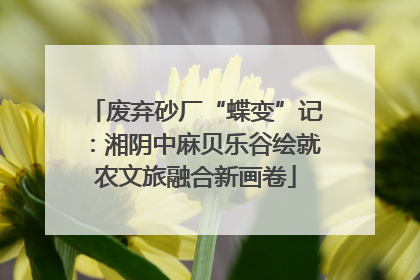 废弃砂厂“蝶变”记：湘阴中麻贝乐谷绘就农文旅融合新画卷
