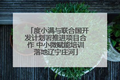 度小满与联合国开发计划署推进项目合作 中小微赋能培训落地辽宁庄河