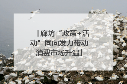 廊坊“政策+活动”同向发力带动消费市场升温