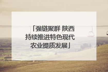 强链聚群 陕西持续推进特色现代农业提质发展