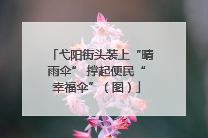 弋阳街头装上“晴雨伞” 撑起便民“幸福伞”（图）
