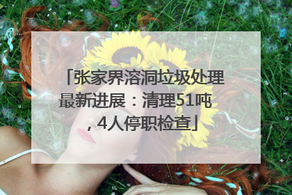 张家界溶洞垃圾处理最新进展：清理51吨，4人停职检查