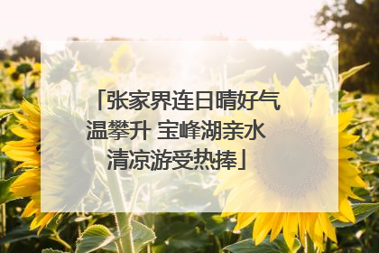 张家界连日晴好气温攀升 宝峰湖亲水清凉游受热捧