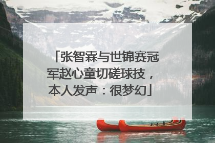 张智霖与世锦赛冠军赵心童切磋球技，本人发声：很梦幻