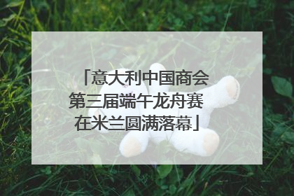 意大利中国商会第三届端午龙舟赛在米兰圆满落幕