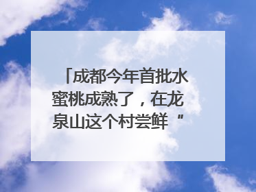 成都今年首批水蜜桃成熟了,在龙泉山这个村尝鲜“第一口”|寻找和美乡村推荐官