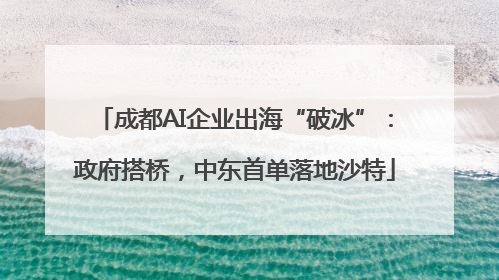 成都AI企业出海“破冰”：政府搭桥，中东首单落地沙特