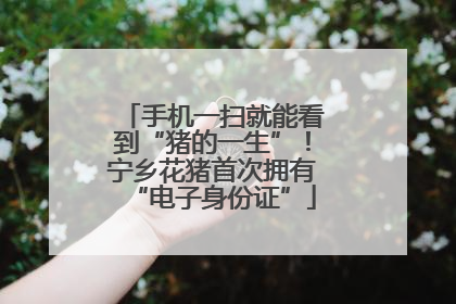 手机一扫就能看到“猪的一生”！宁乡花猪首次拥有“电子身份证”
