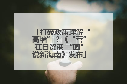 打破政策理解“高墙”？《“营”在自贸港 “画”说新海南》发布
